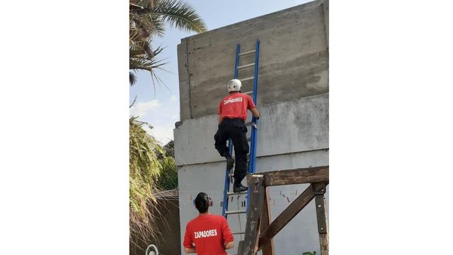 Dos de los bomberos que realizaron el rescate de una gata en el barrio 9 de julio
