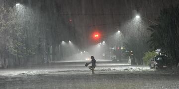 Consecuencias del temporal en Tucumán: caída de árboles, voladura de techos, calles anegadas y evacuados