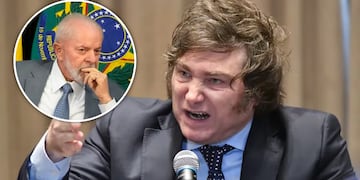 Milei negó que vaya a pedirle disculpas a Lula (Collage).