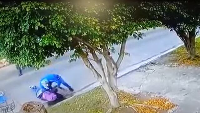 Remedios de Escalada: golpearon brutalmente a una maestra para robarle la bicicleta