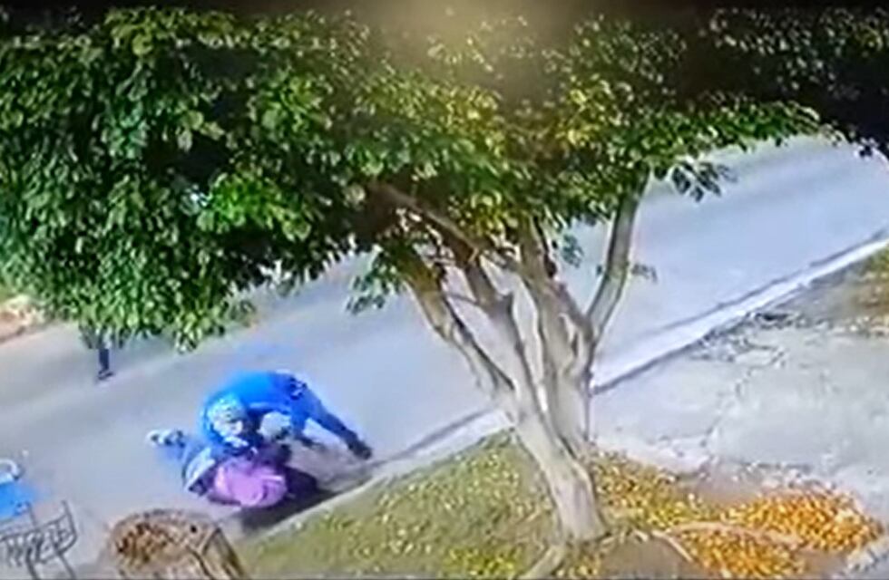 Remedios de Escalada: golpearon brutalmente a una maestra para robarle la bicicleta