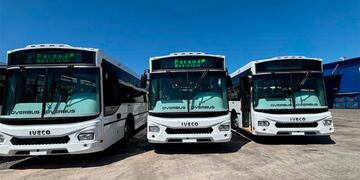 Un fallo ordena a Transporte San José incorporar transitoriamente a los choferes de Buses Paraná