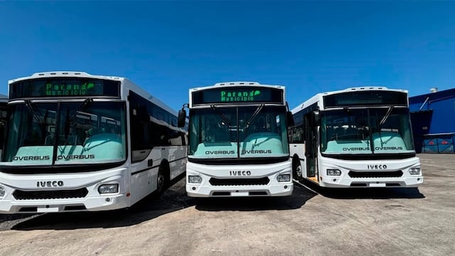 Un fallo ordena a Transporte San José incorporar transitoriamente a los choferes de Buses Paraná