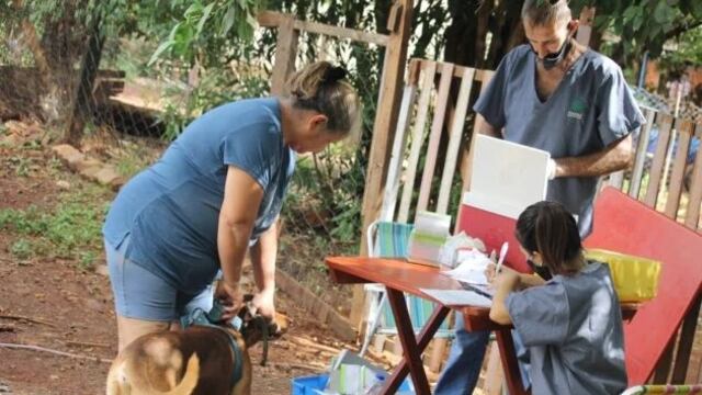 Posadas: continúan los operativos de castración y vacunación en los barrios.