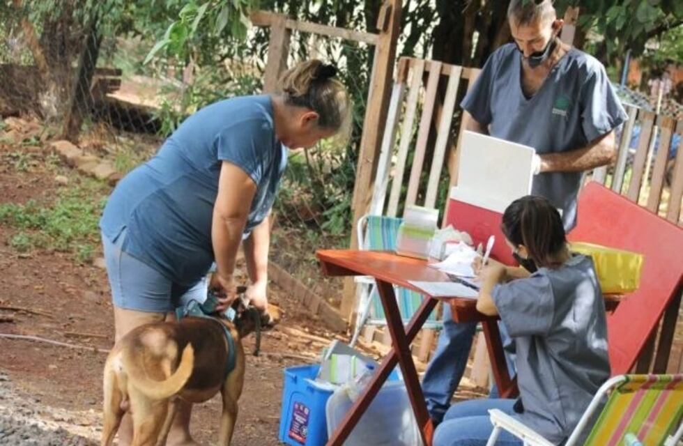 Posadas: continúan los operativos de castración y vacunación en los barrios