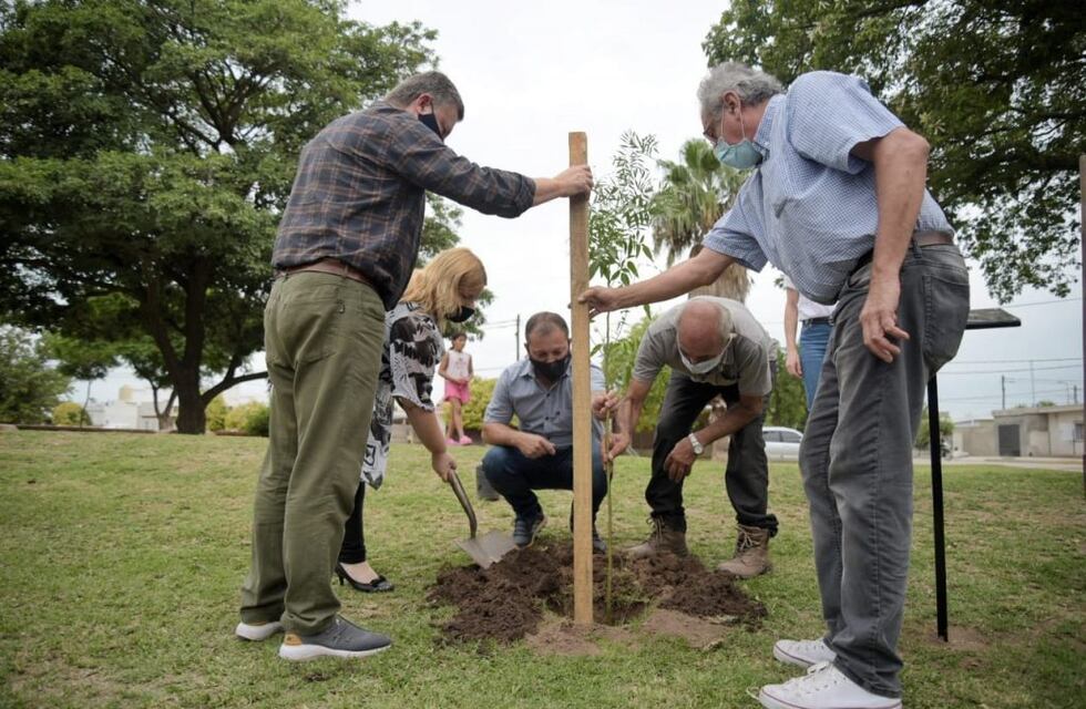El Municipio de Arroyito plantó un árbol por los 45 años del Golpe Militar