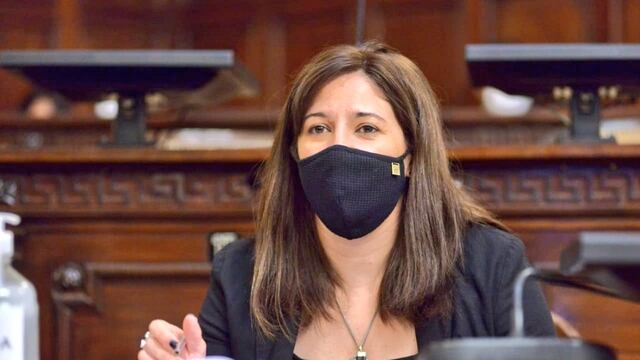 Piden explicaciones sobre la adquisición de 50 mil barbijos para los profesionales de la salud, los que no cumplirían con las normas por Anmat.