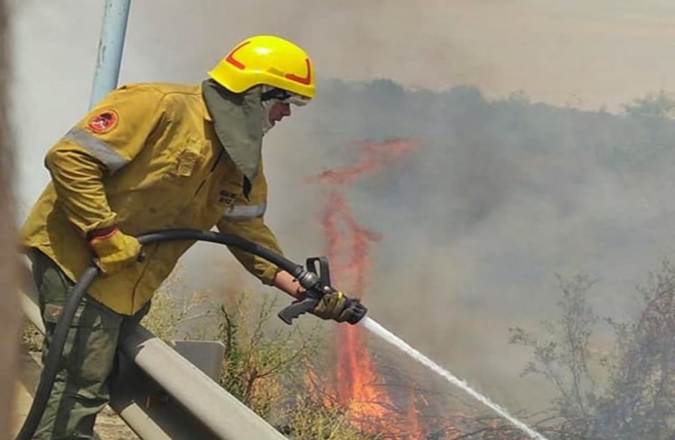 Incendios en Concordia: la Municipalidad pide responsabilidad para evitar nuevos focos ígneos