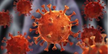 Coronavirus. Gentileza