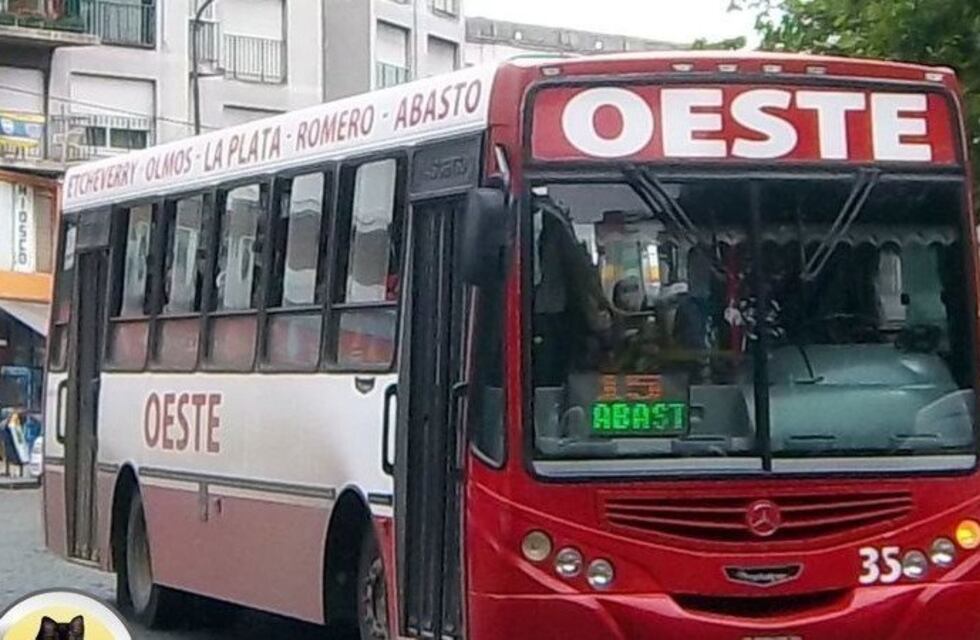 La importancia del RCP: el inspector de un colectivo en La Plata le salvó la vida a un niño con maniobras de primeros auxilios