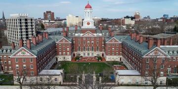 Harvard ofrece un curso gratuito para argentinos con salida laboral: de qué trata y cómo anotarse.
