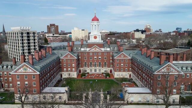 Harvard ofrece un curso gratuito para argentinos con salida laboral: de qué trata y cómo anotarse.