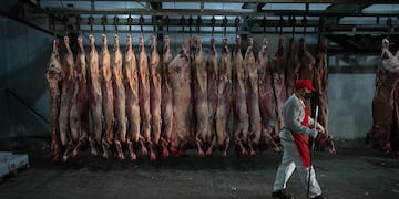 Mendoza 25 de mayo de 2021 Frigorífico y Carnicería Micheli
Prohibición de exportar carne por 30 días 
Lucas Zambrano camina delante de las medias reces en una camara de frio.
El gobierno nacional tomo esta medida para bajar el precio de la carne para consumo interno, esta medida llevo a que productores agrícolas realizaran un cese de comercialización de ganado y comience a faltar carne.
 
Foto: Ignacio Blanco / Los Andes