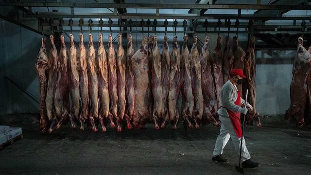 Mendoza 25 de mayo de 2021 Frigorífico y Carnicería Micheli
Prohibición de exportar carne por 30 días 
Lucas Zambrano camina delante de las medias reces en una camara de frio.
El gobierno nacional tomo esta medida para bajar el precio de la carne para consumo interno, esta medida llevo a que productores agrícolas realizaran un cese de comercialización de ganado y comience a faltar carne.
 
Foto: Ignacio Blanco / Los Andes