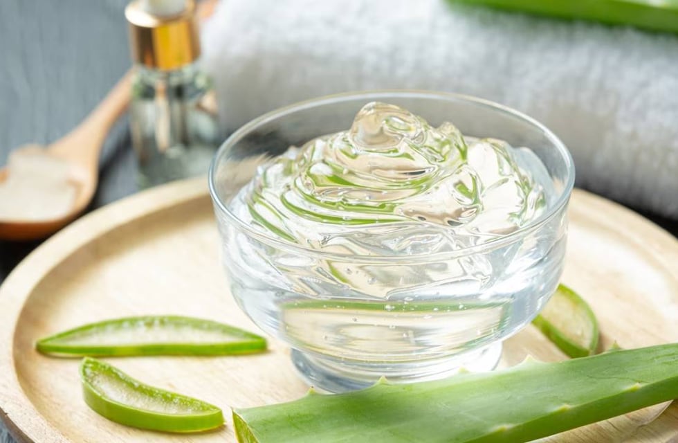 Cinco razones por las que se recomienda usar aloe vera en el pelo