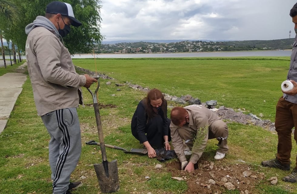 El programa de forestación no se detiene, y ya llevan 750 nativas plantadas en Carlos Paz este año