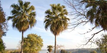 El Comité de Crisis de Eldorado evalúa algunas restricciones en Semana Santa