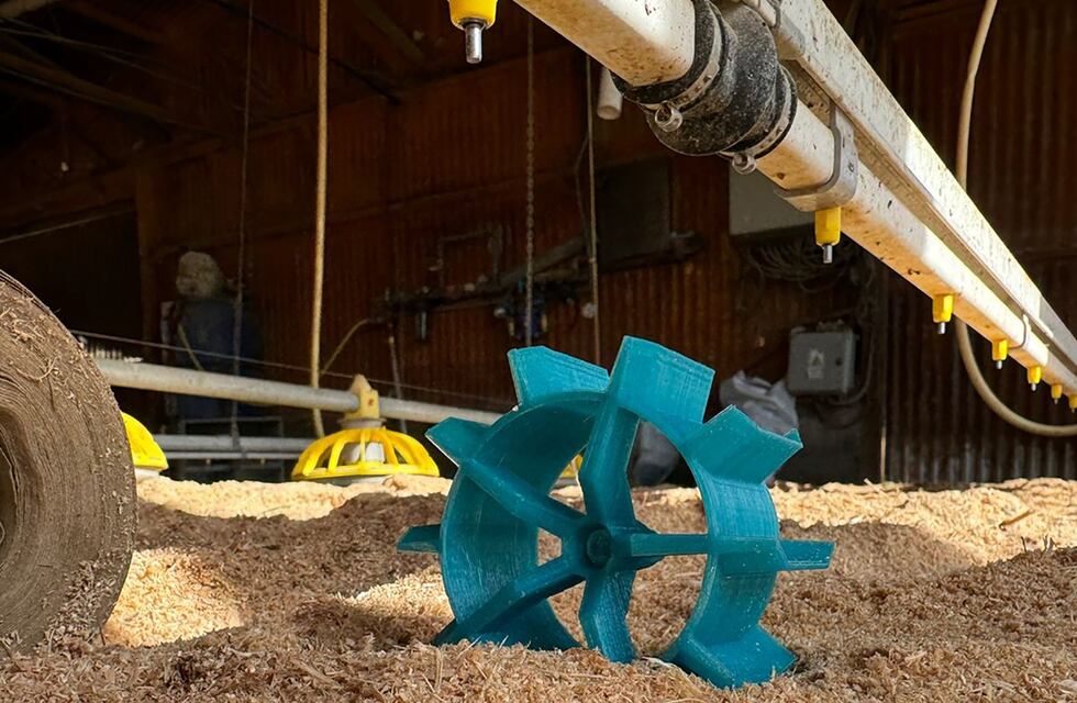 Estudiantes entrerrianos fabrican un robot que ayuda en la crianza de pollos