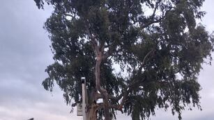 Trabajos para mejorar la seguridad en el barrio 2 de abril.