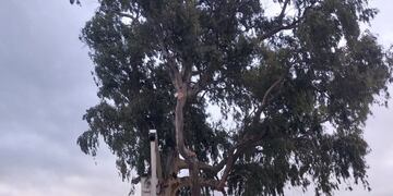 Trabajos para mejorar la seguridad en el barrio 2 de abril.