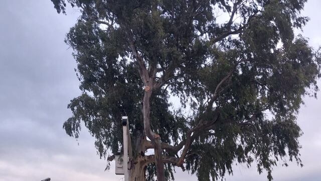 Trabajos para mejorar la seguridad en el barrio 2 de abril.