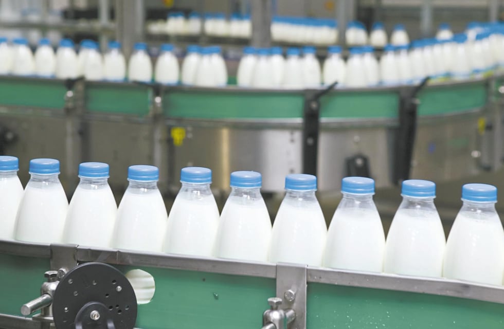Crisis en la industria láctea: 700 empleos en riesgo por sueldos atrasados y retención de tareas