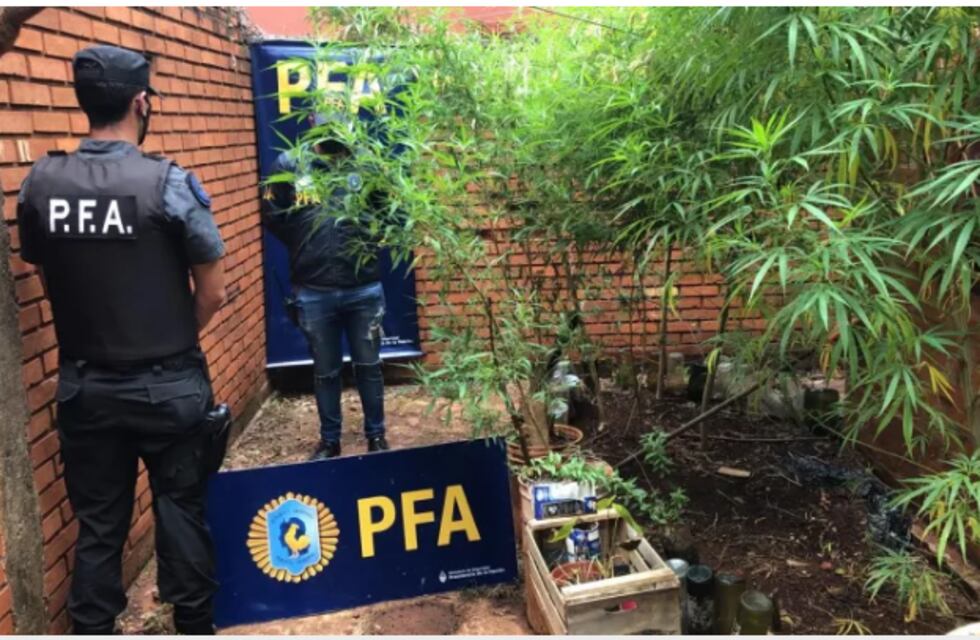 Comía un asado con amigos y le encontraron 10 kilos de marihuana