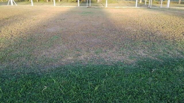 Fumigaron la cancha del Cultural de La Para