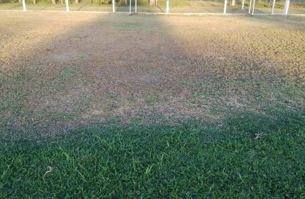 Le fumigaron la cancha al Cultural de La Para y el Club la había resembrado para jugar el Provincial