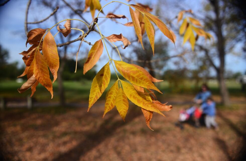 Frío otoñal en Paraná: temperaturas mínimas de hasta 10 grados