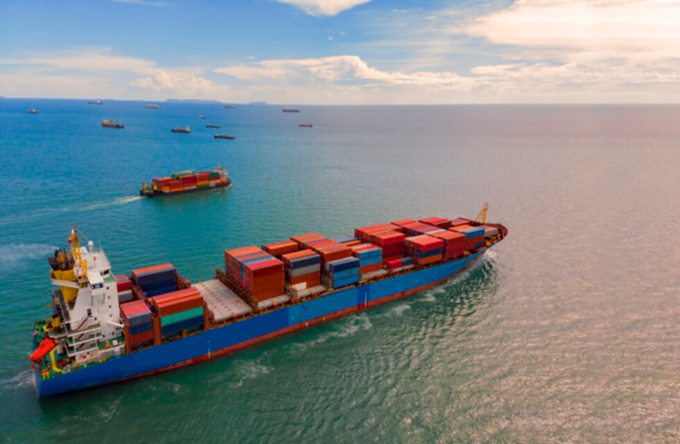 Exportaciones argentinas 2020, los rubros y sus números