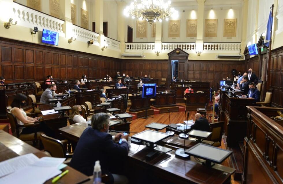 Senadores aprobó el proyecto y Mendoza adhiere a la “Ley Yolanda”