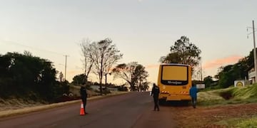 Colectivo que transportaba tareferos embistió a una mujer en Leandro N. Alem.
