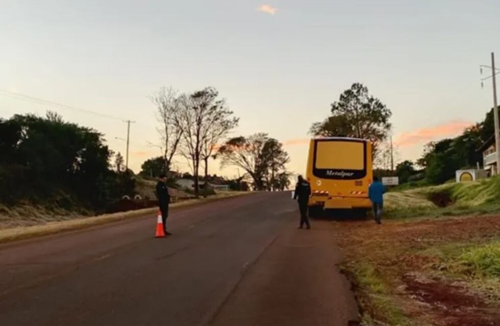 Colectivo que transportaba tareferos embistió a una mujer en Leandro N. Alem