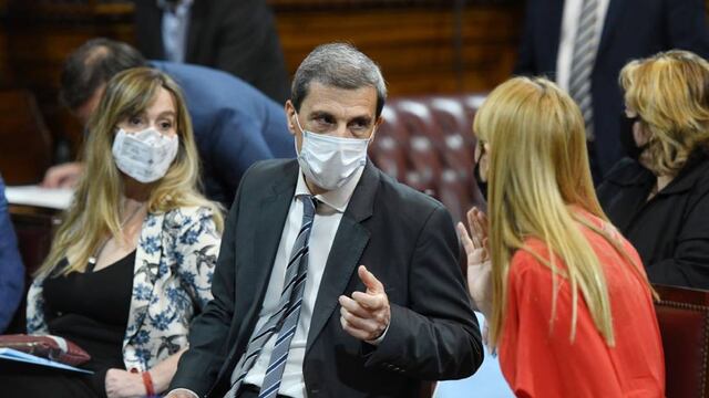 Las senadoras Anabel Fernández Sagasti y Juliana Di Tullio, junto a su par Ricardo Guerra.