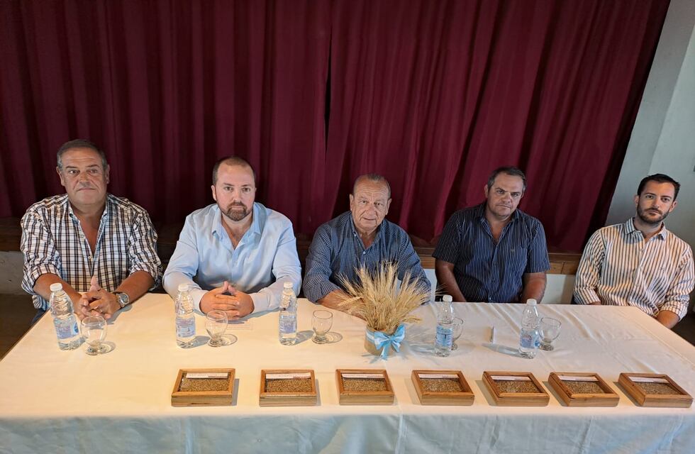 Fiesta Provincial del Trigo 2023: Ganadores del Concurso Muestras de Trigo