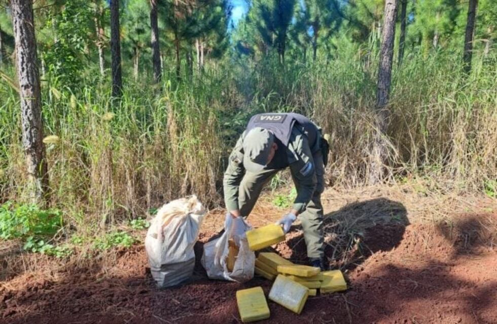 Gendarmería incautó marihuana en Puerto Esperanza