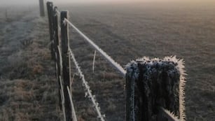 Se esperan heladas para los próximos días en Córdoba.