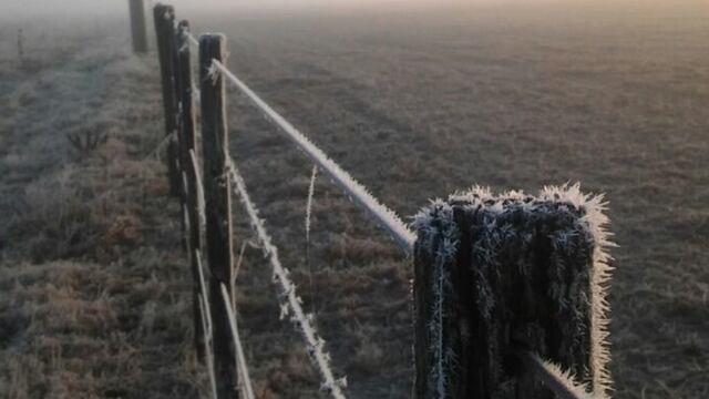 El frío continuará presente en la provincia de Córdoba. (Bolsa de Cereales de Córdoba).
