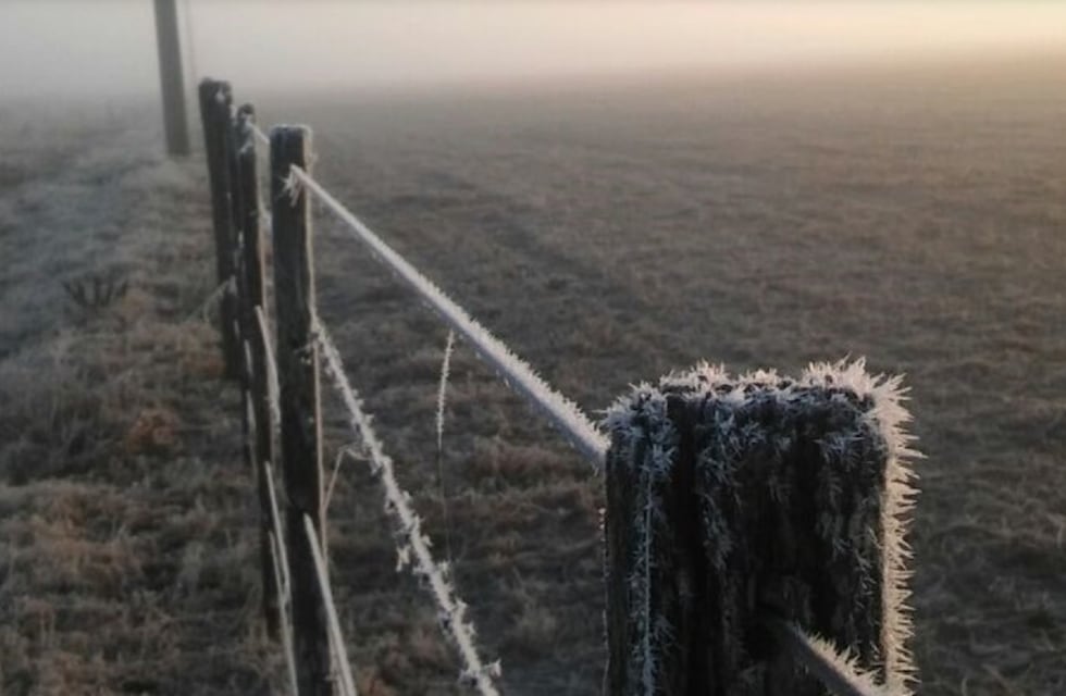 Emitieron un alerta por heladas y fuerte descenso de la temperatura en Córdoba