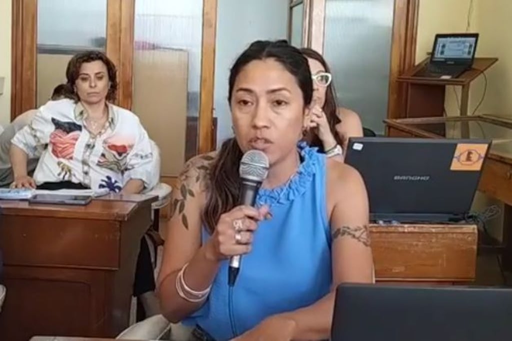 Paula Bermejo (Unión por la Patria), se refirió a las obra que se realizará en el centro comercial de Punta Alta.