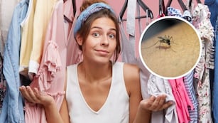 Atención: estos 3 colores de ropa hacen que los mosquitos te piquen más.