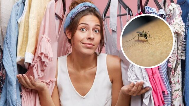 Atención: estos 3 colores de ropa hacen que los mosquitos te piquen más.