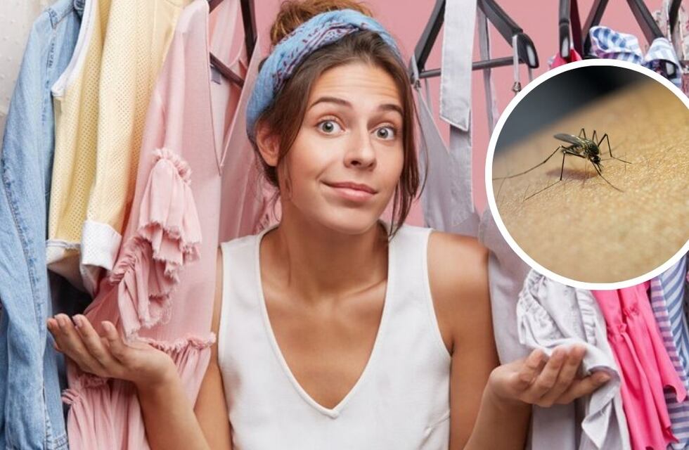 Atención: estos 3 colores de ropa hacen que los mosquitos te piquen más