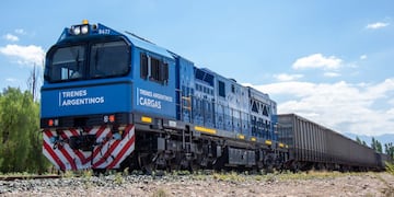 Como medio de transporte de cargas el ferrocarril es uno de los sistemas que más crecieron durante 2020. Gentileza TAC