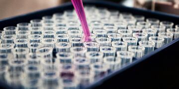 Descubrir el potencial de los péptidos de investigación