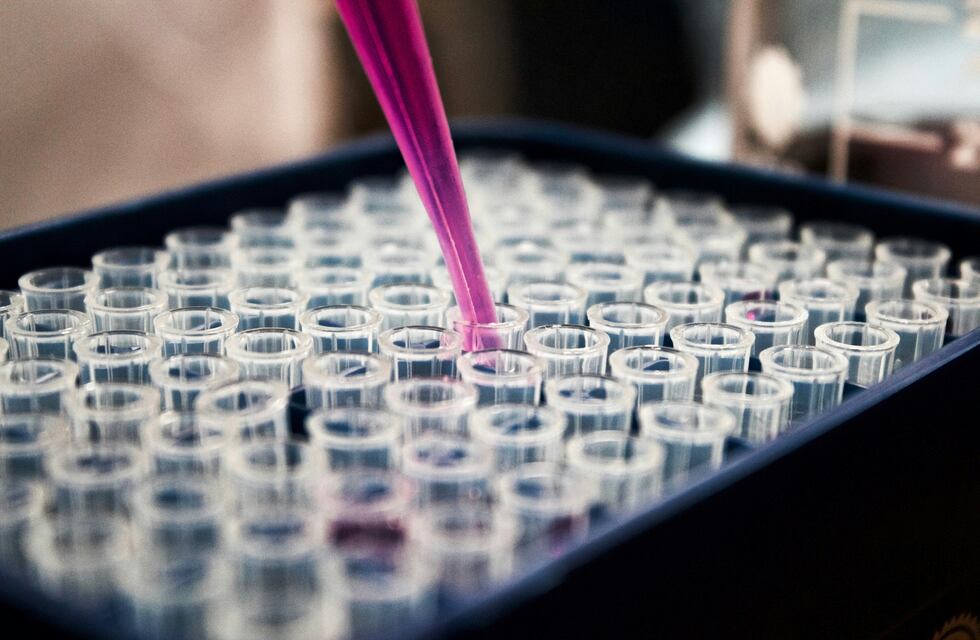 Descubrir el potencial de los péptidos de investigación