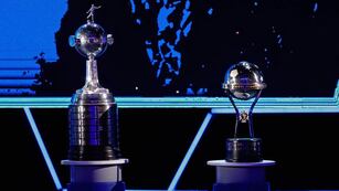 La Copa Libertadores y la Copa Sudamericana.