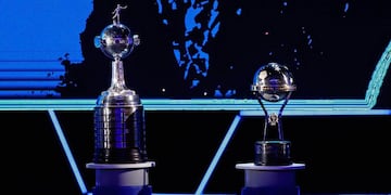 La Copa Libertadores y la Copa Sudamericana.
