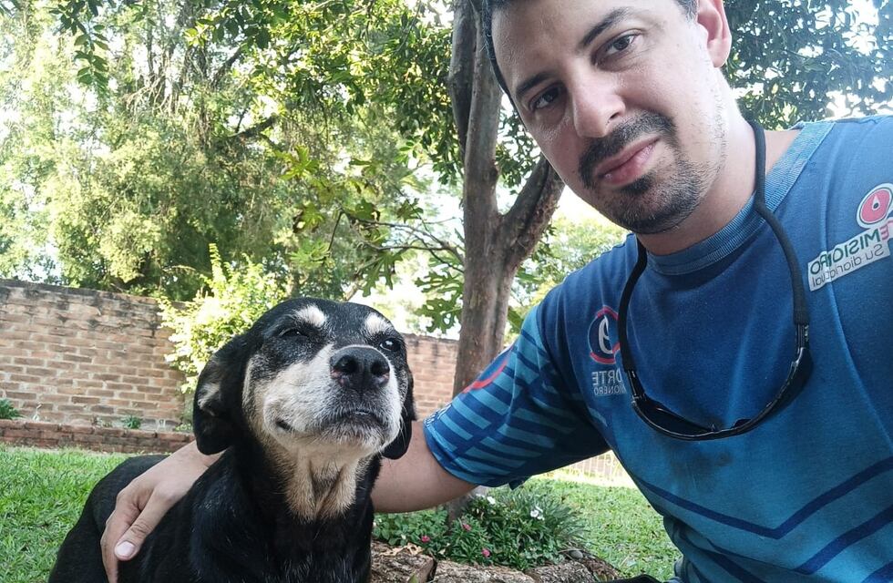 Eldorado: un dogo mató a otro perro y causa preocupación en el barrio